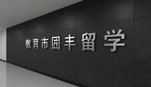 平面设计选型中的关键因素与实际应对策略