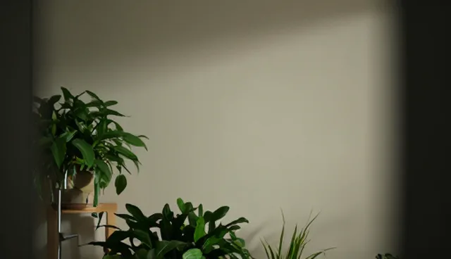 宣传片制作中理解偏差的常见做法与应对策略